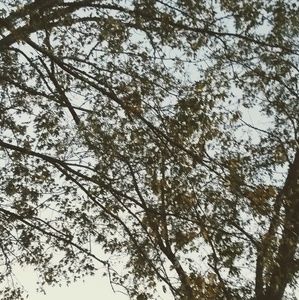 Meet your Posher, Ruko